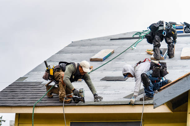 Professional Gutter Installation technician working in Molena, GA